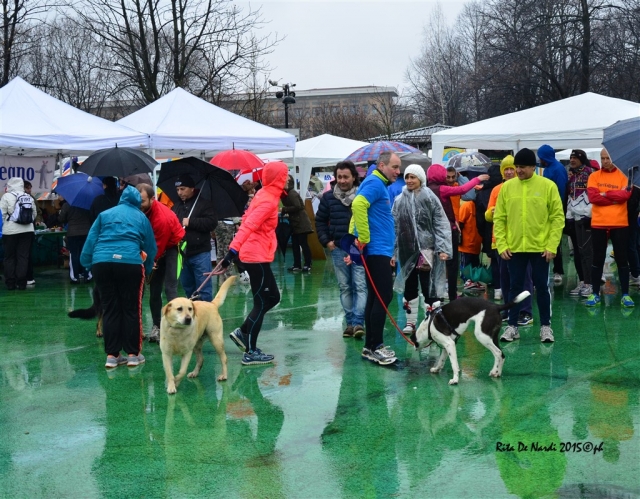 Corricollegno2015_105