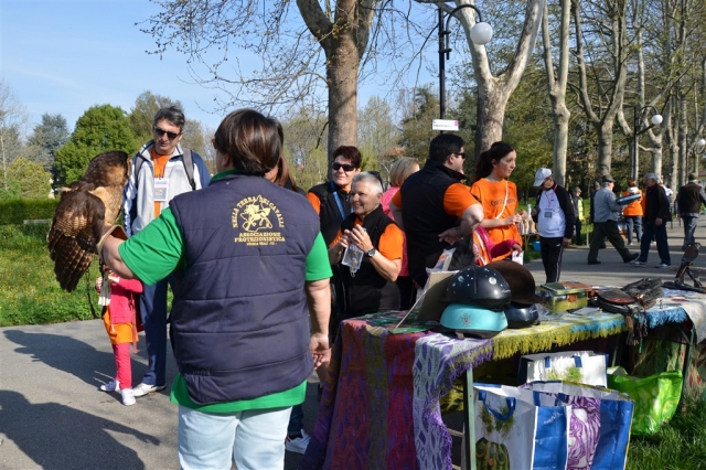 CorriCollegno 2016_32